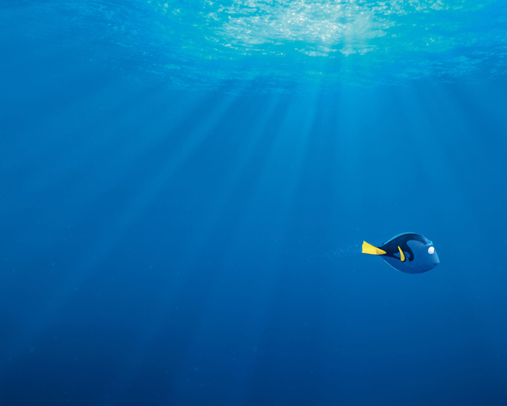 Finding Dory