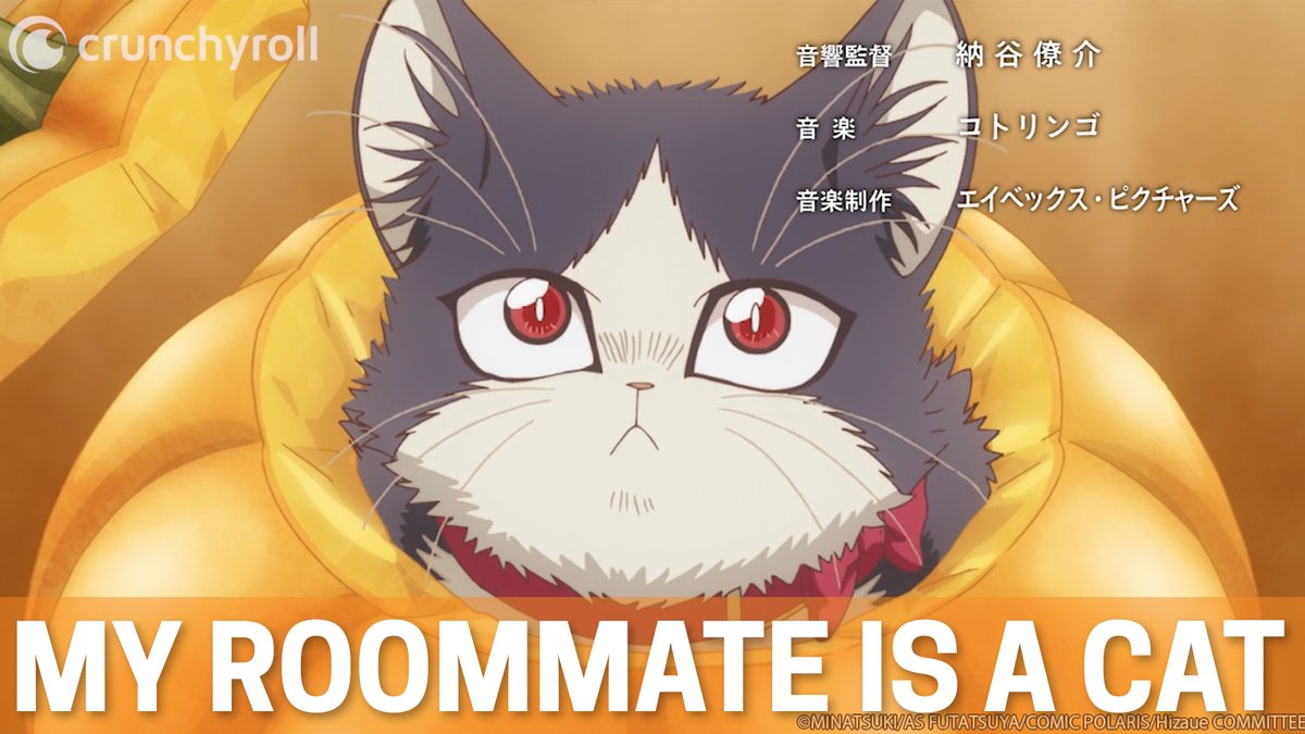 Doukyonin wa Hiza, Tokidoki, Atama no Ue - My Roomate is a Cat
